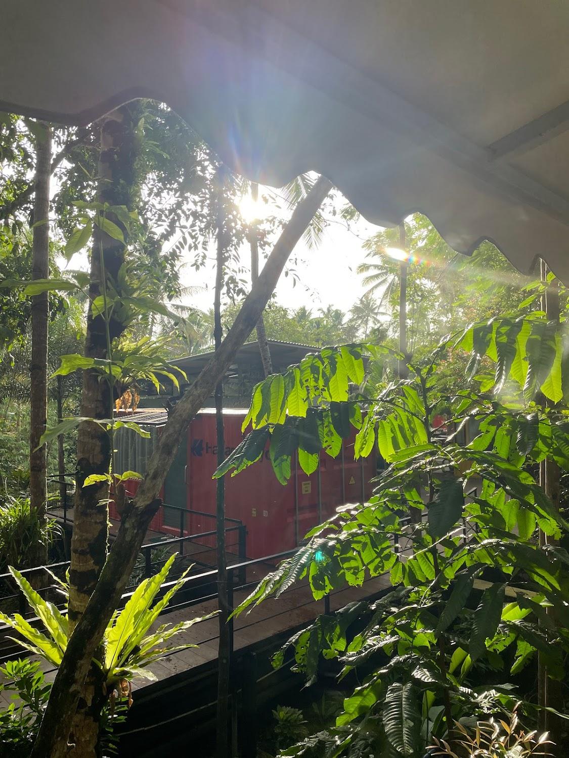 Cover Image for HAU Eco Lodges Citumang