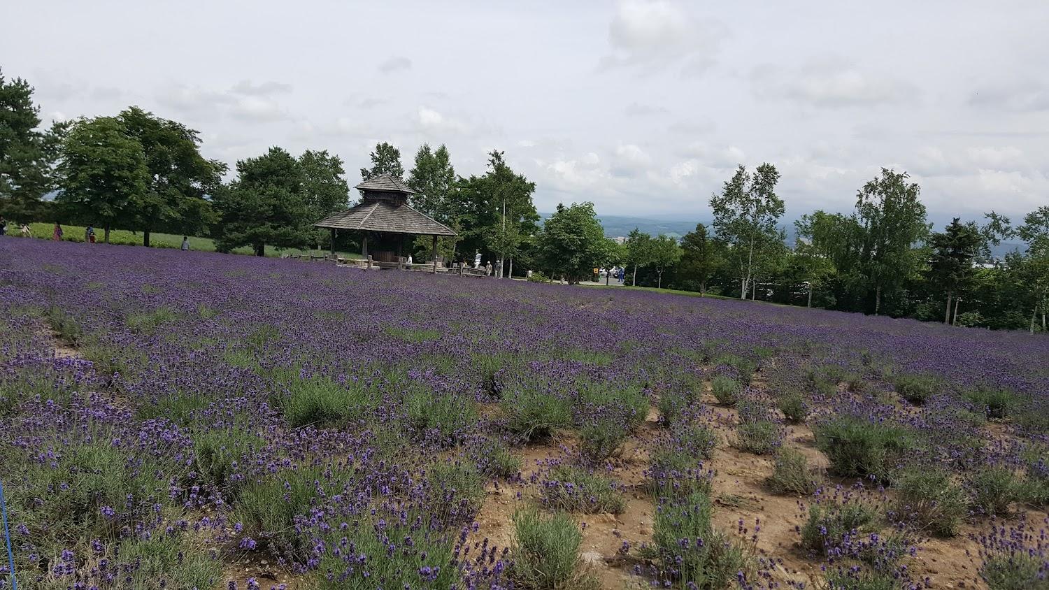 Cover Image for ペンションやま山
