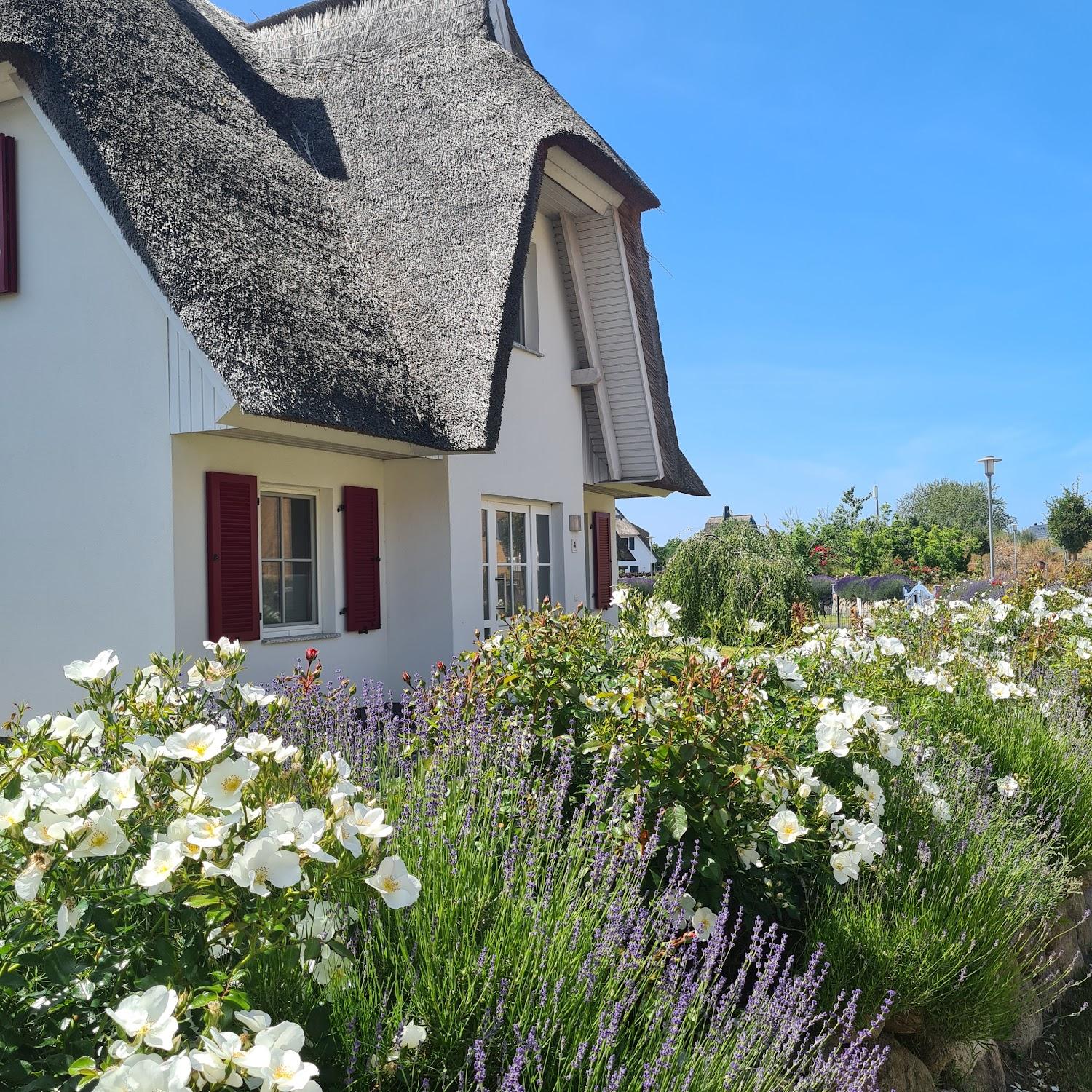 Cover Image for Das Ferienhaus Seeschwalbe 5 Sterne