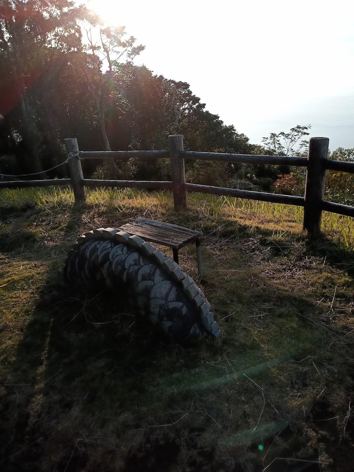 Cover Image for 竜洞山みどりの村