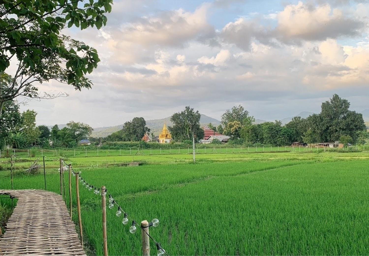 Cover Image for Paddy Fields Haven - Natures Nest Pai