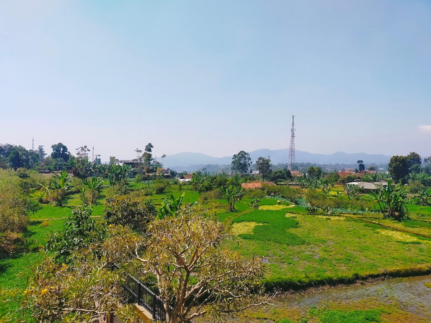 Cover Image for Hotel Sapadia Guest House Ciwidey
