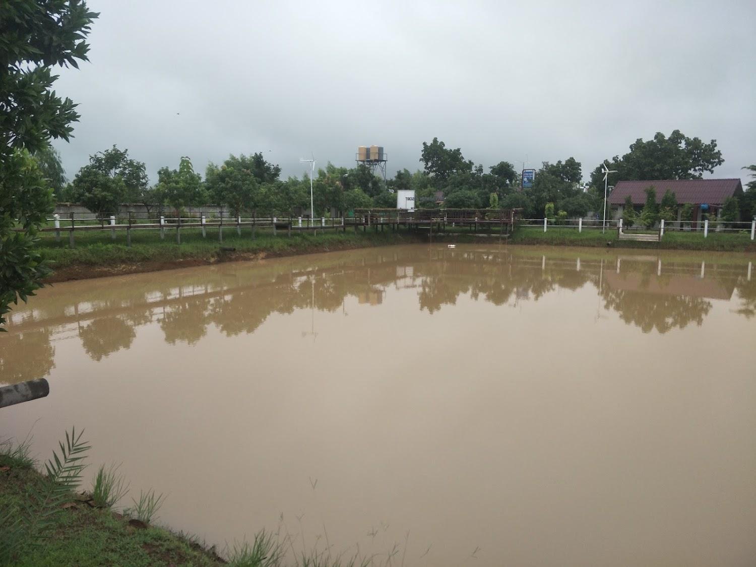 Cover Image for โรงแรมพัชราวิว ตระการพืชผล อุบลราชธานี