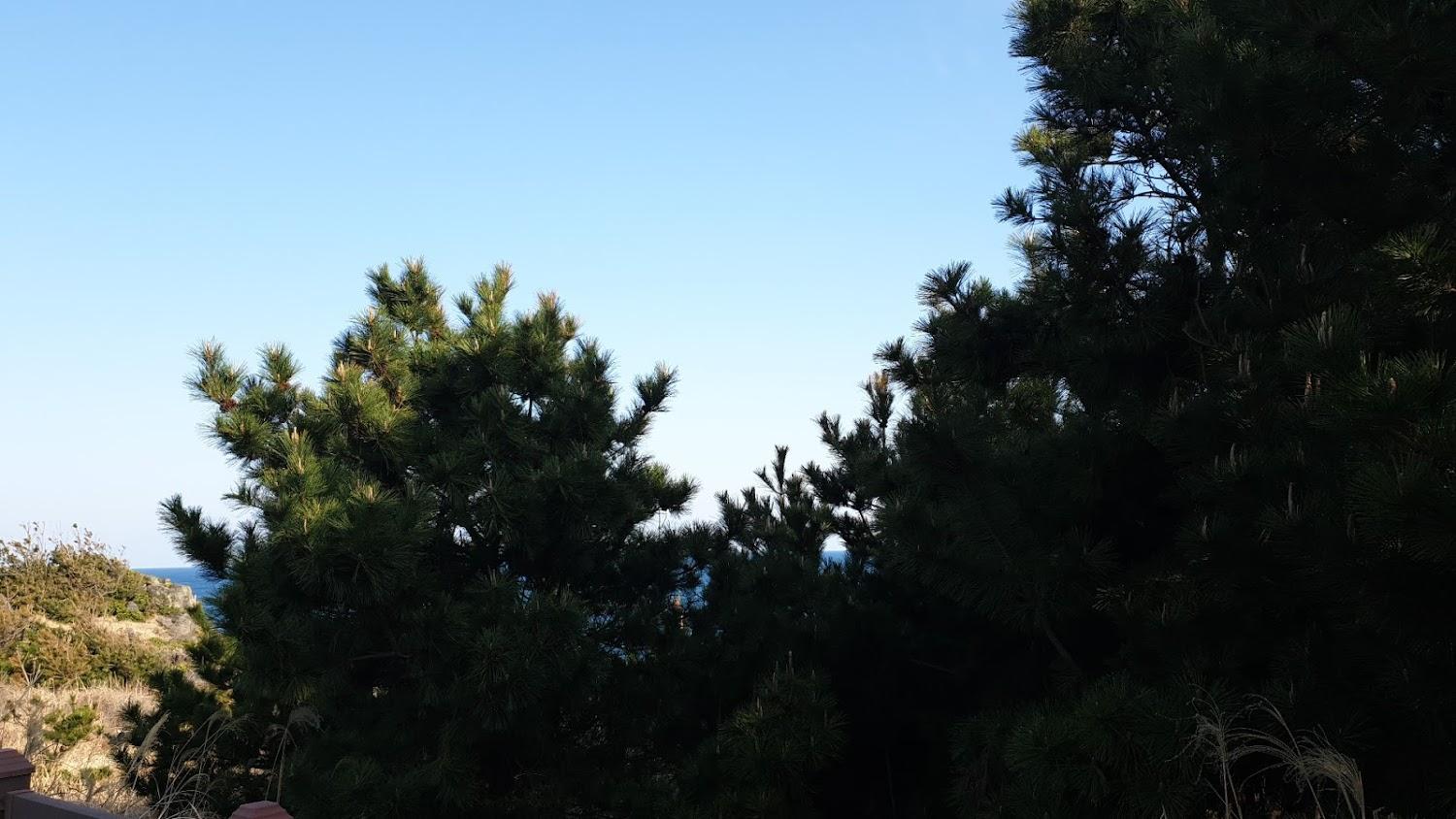 Cover Image for CS빌리지