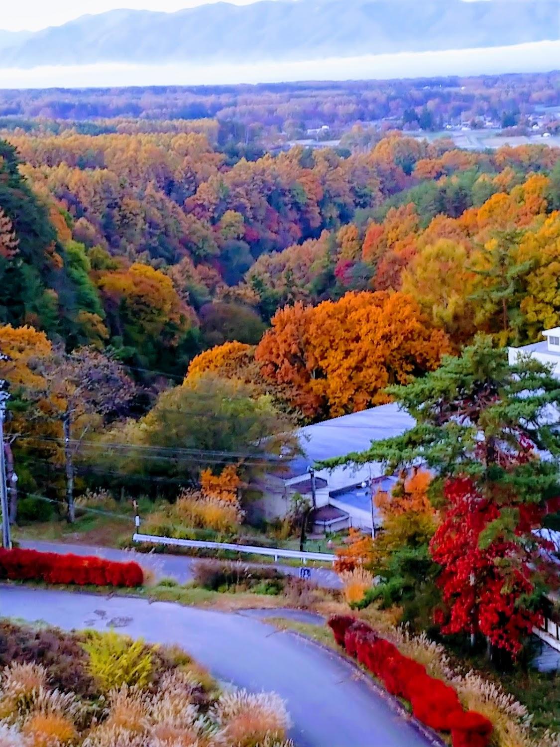 Cover Image for Tateshina Park Hotel