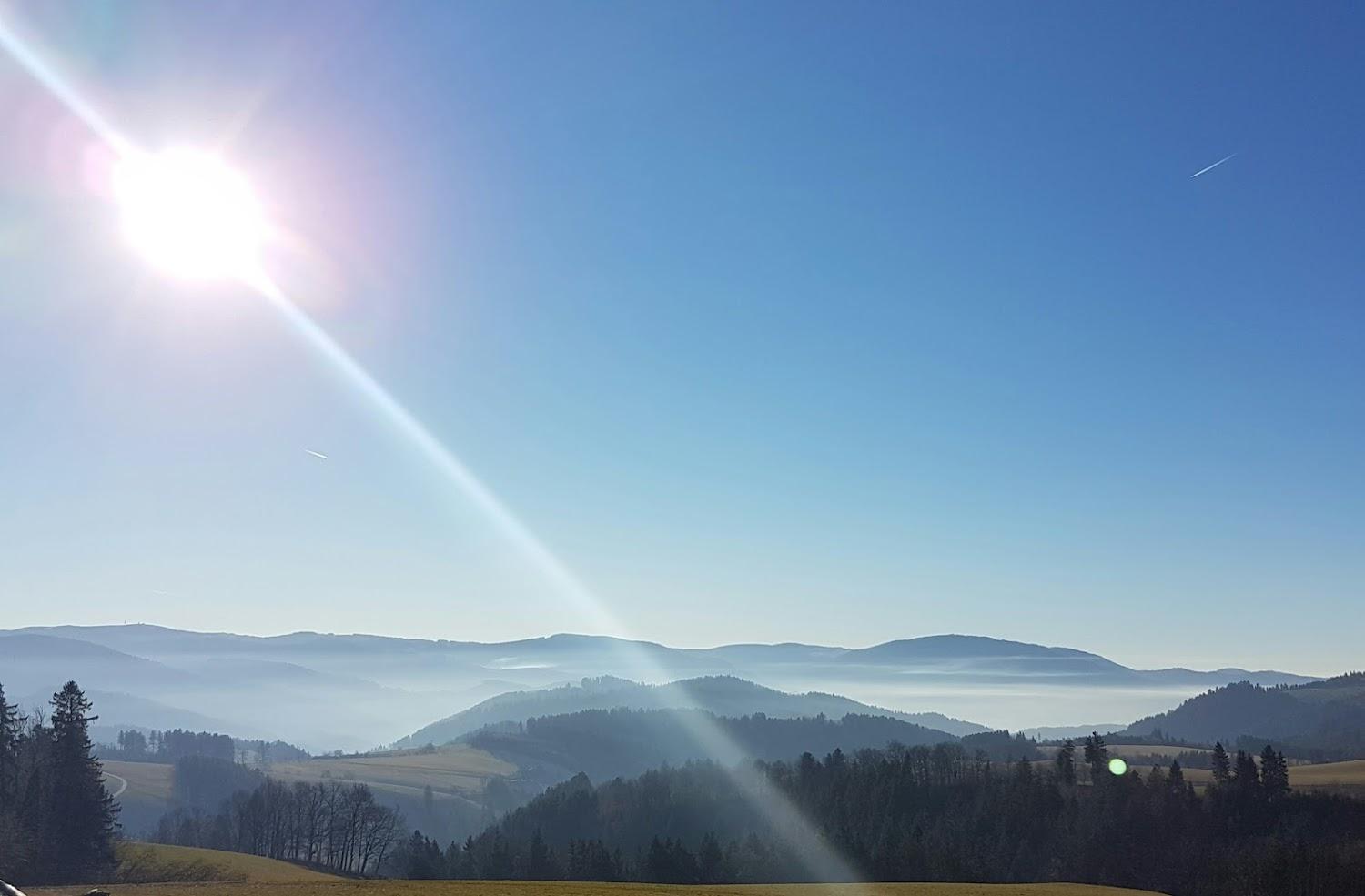 Cover Image for Reinerhof