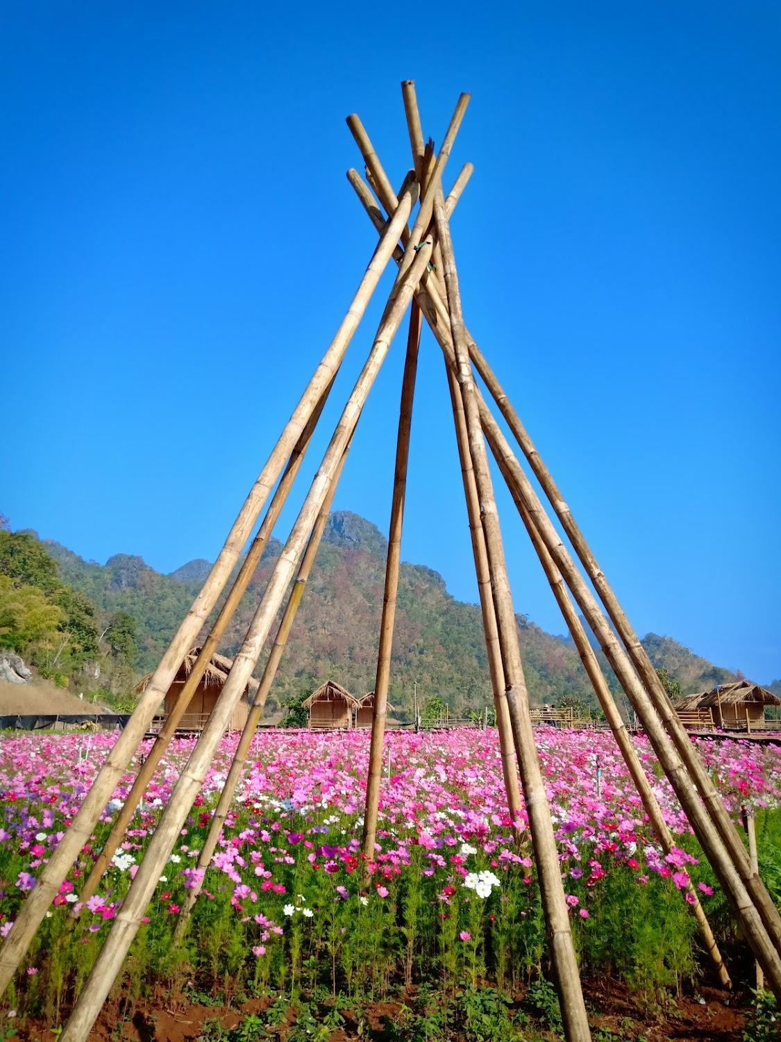 Cover Image for ไร่ภูผาล้อม