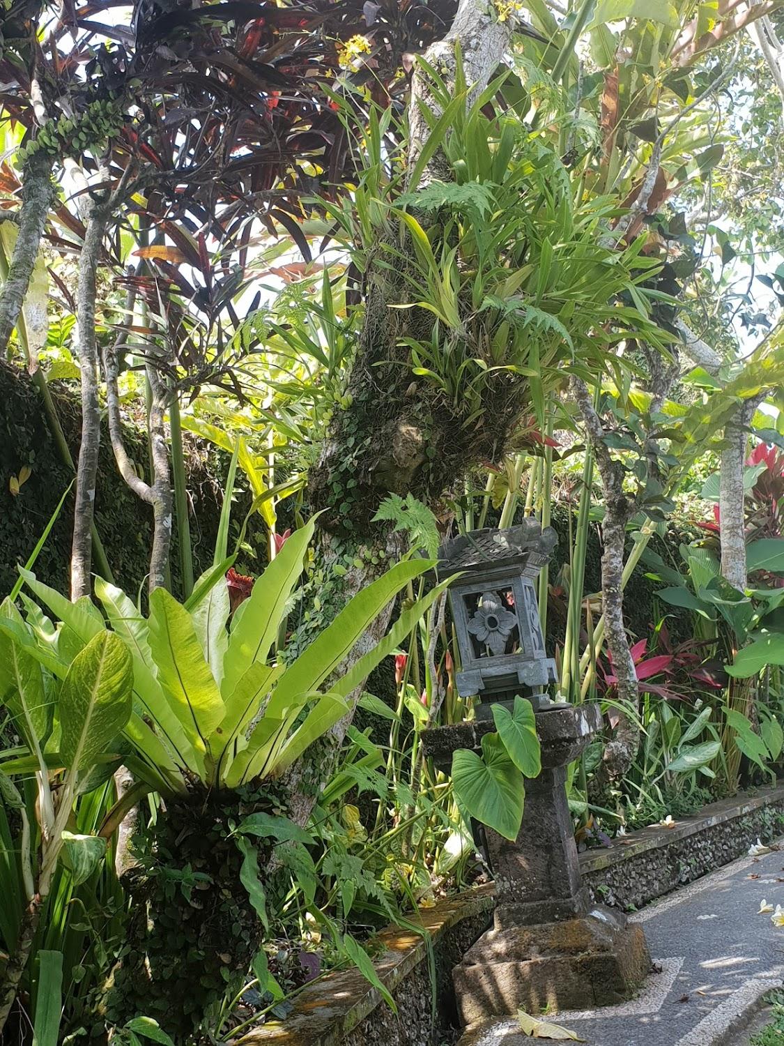 Cover Image for Garden View Ubud