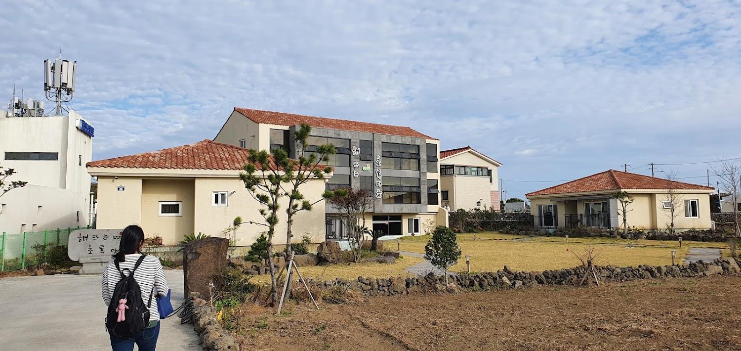 Cover Image for 해뜨는 초록마을