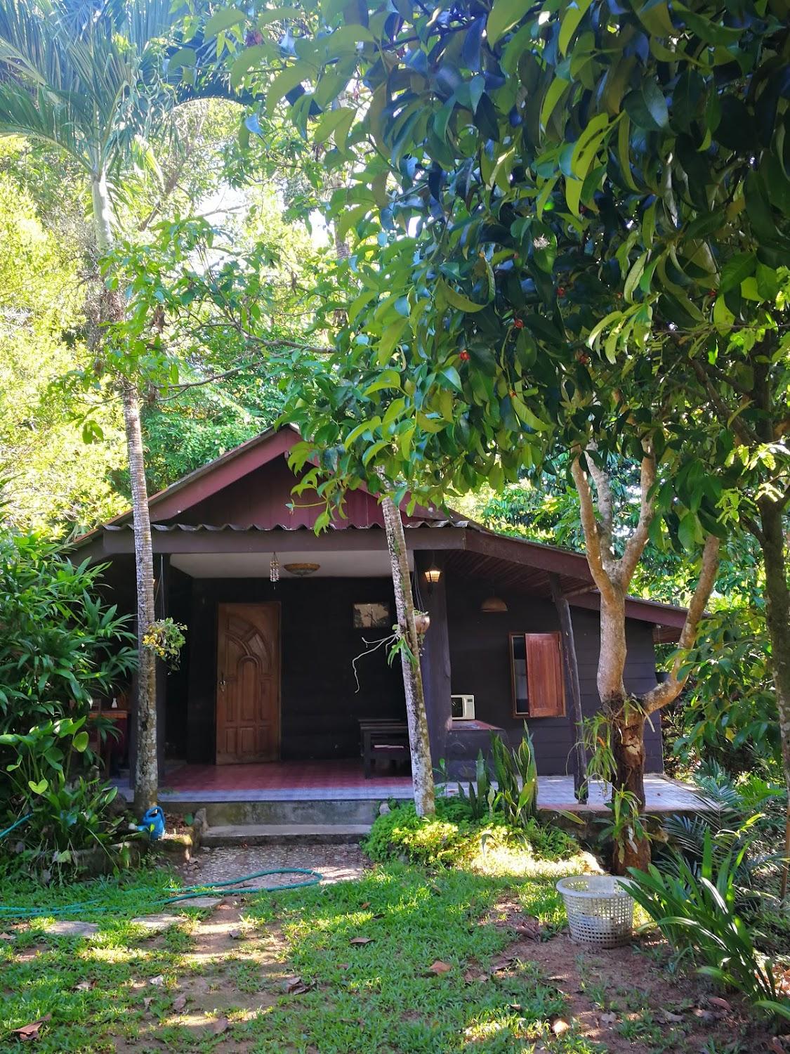Cover Image for SINETHONGHUT