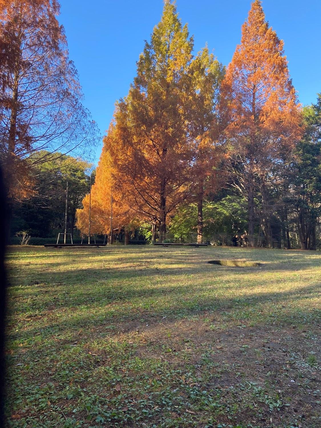 Cover Image for Ichikawa City Camping Ground