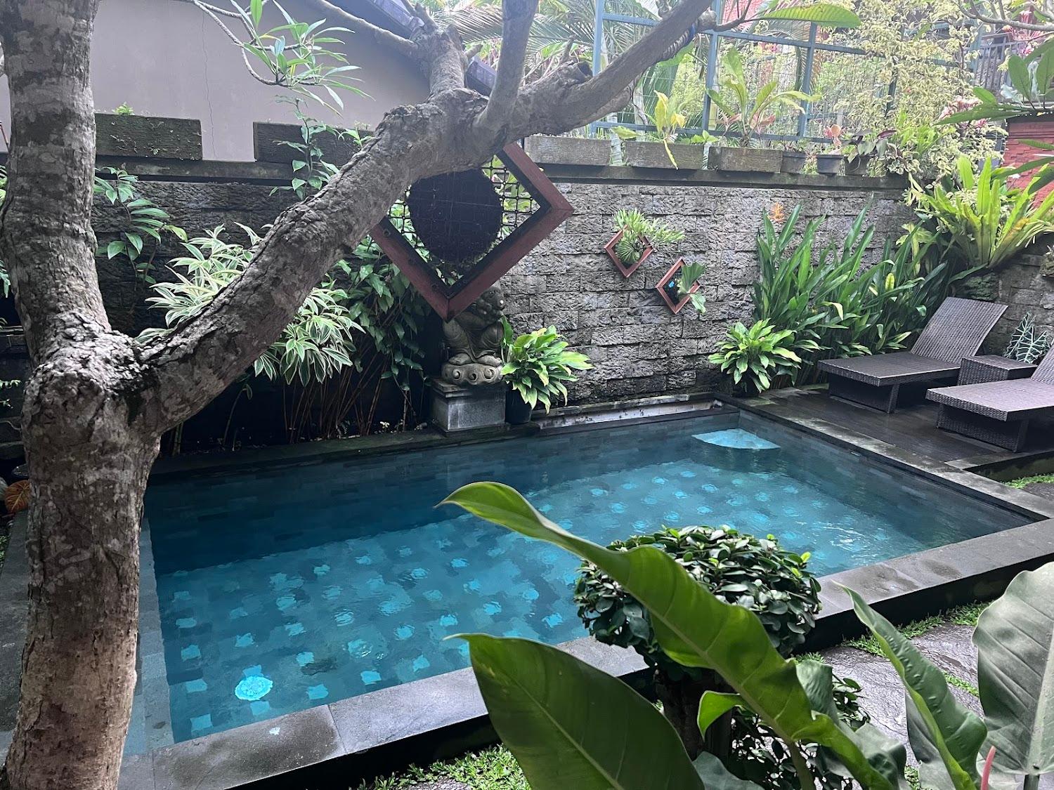 Cover Image for Divara Ubud