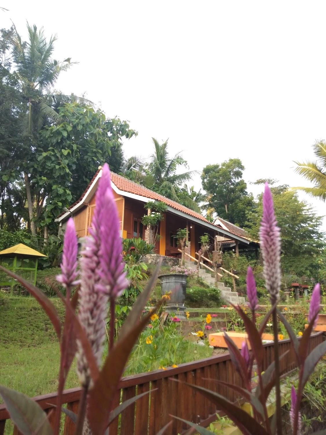 Cover Image for Rupan News Homestay