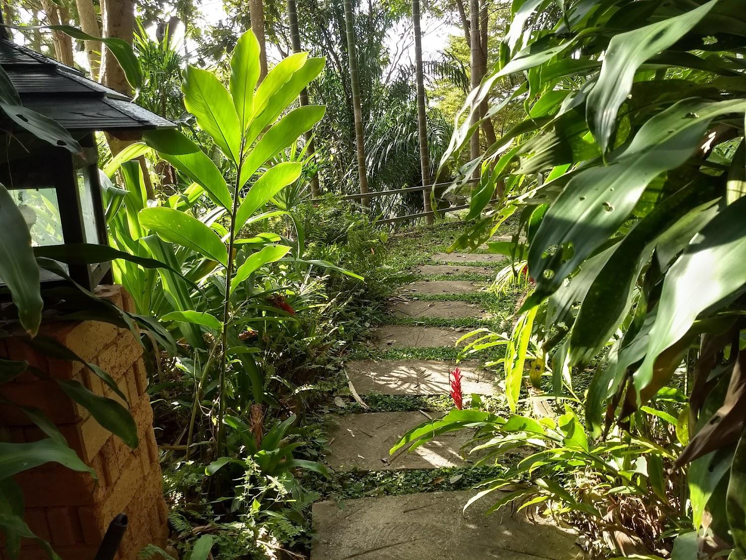Cover Image for Phu Pha Nam Resort & Spa