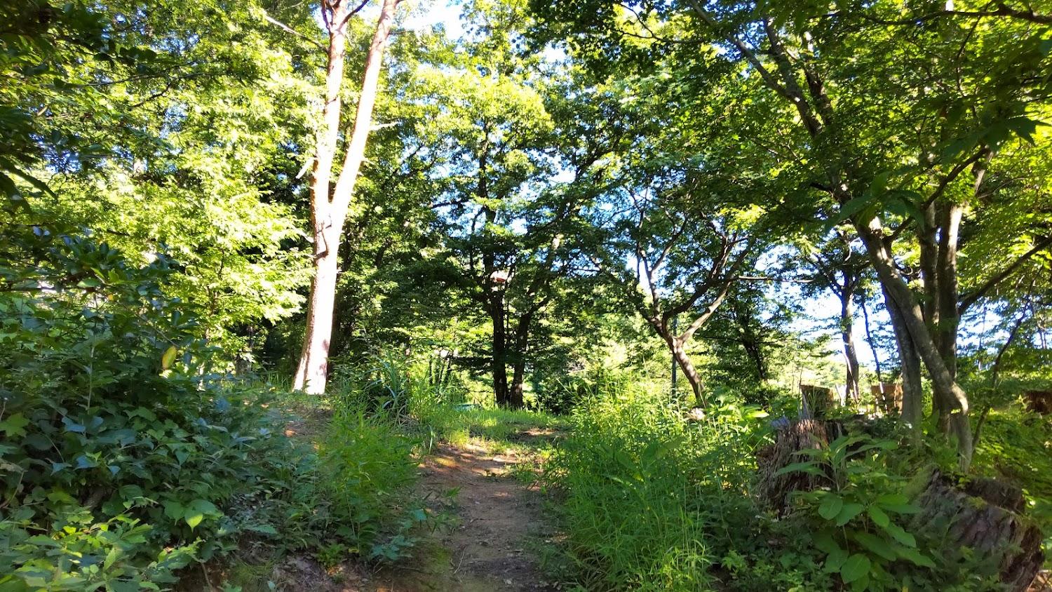 Cover Image for Sakuragaike Koen Barrel Nomori Camping Ground