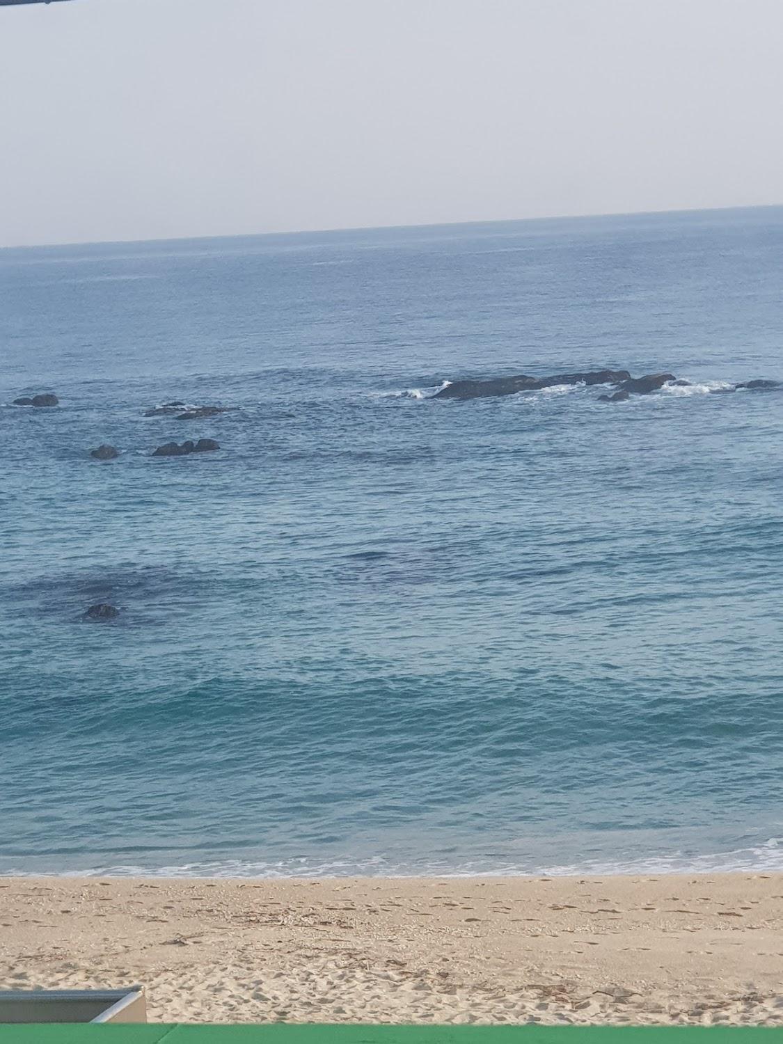 Cover Image for 한들펜션