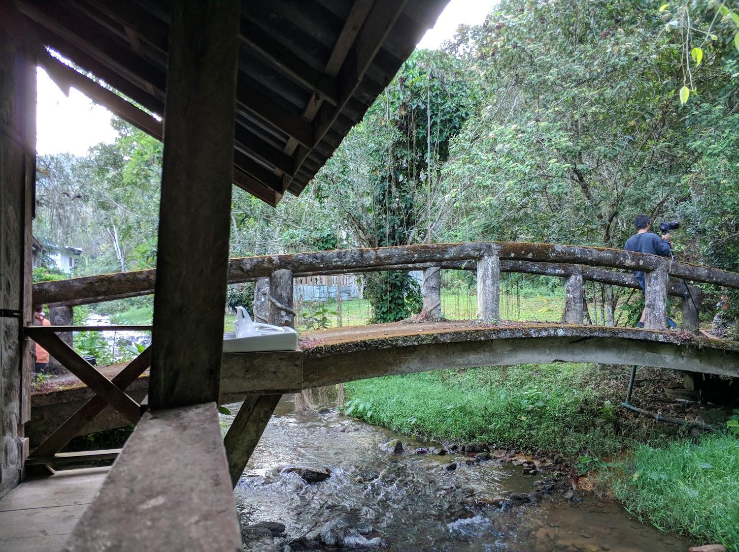 Cover Image for บ้านตากอากาศเทพเสด็จ
