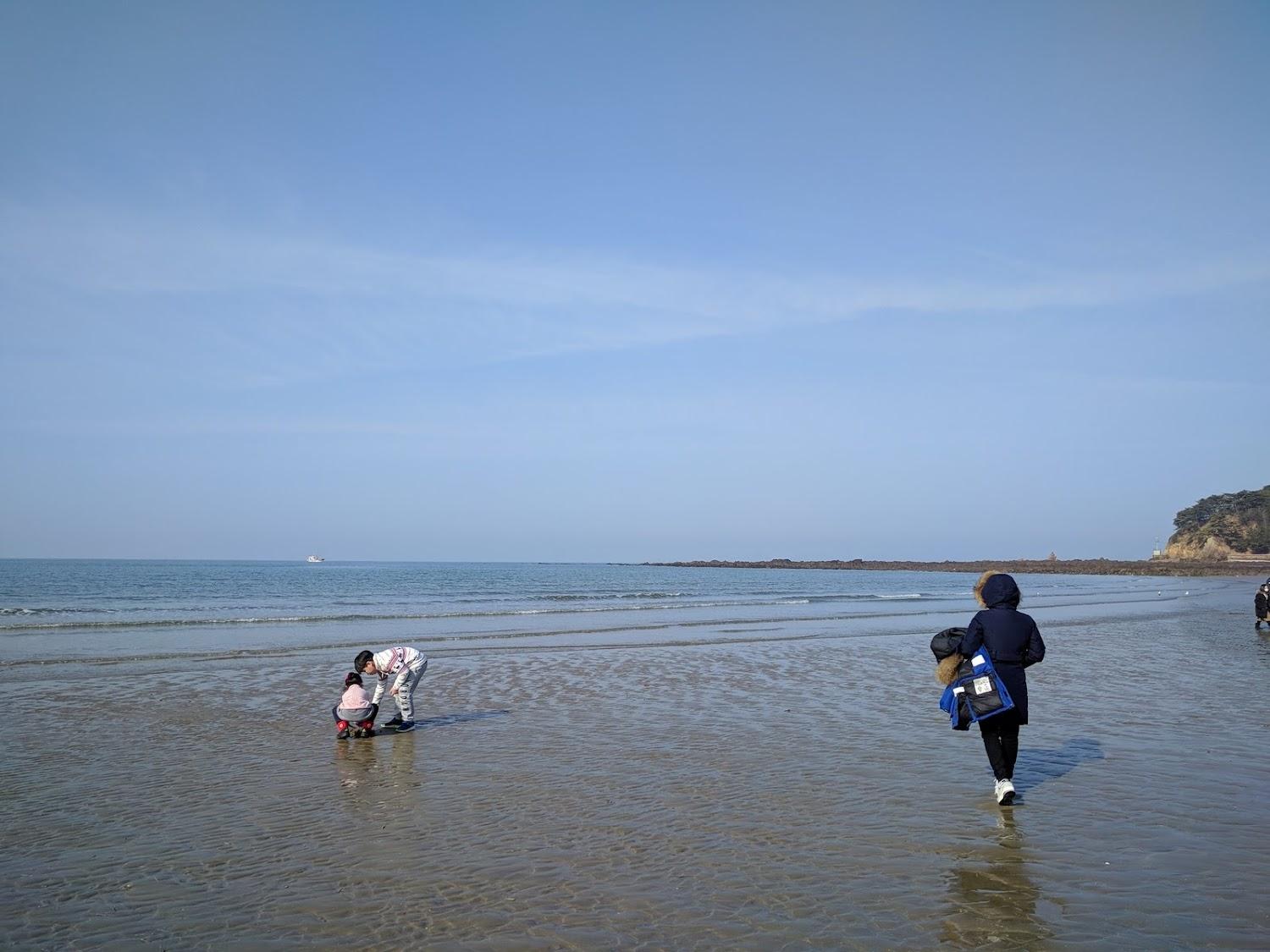 Cover Image for 해피데이펜션