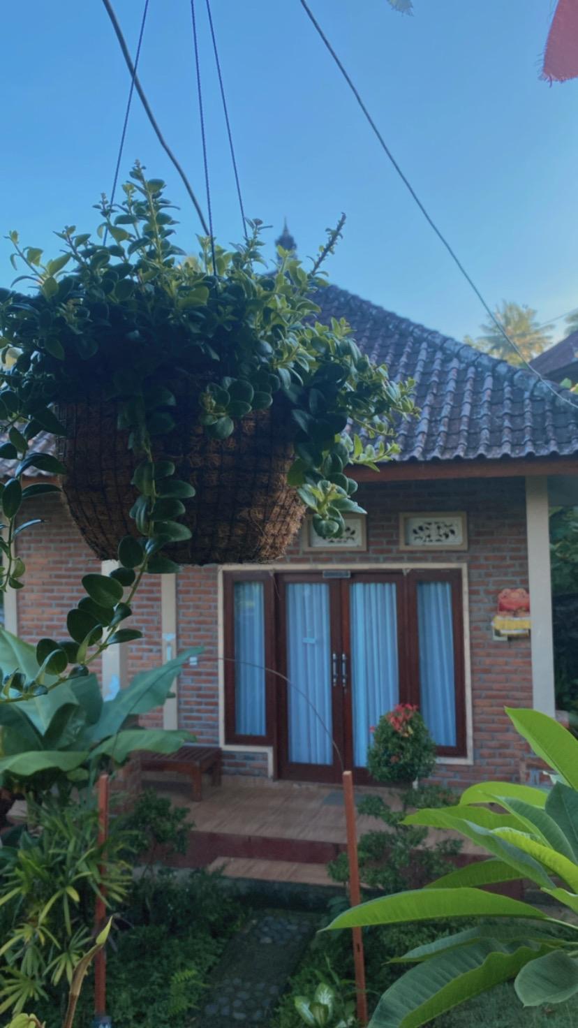 Cover Image for Sunny Cottages By Balitrees