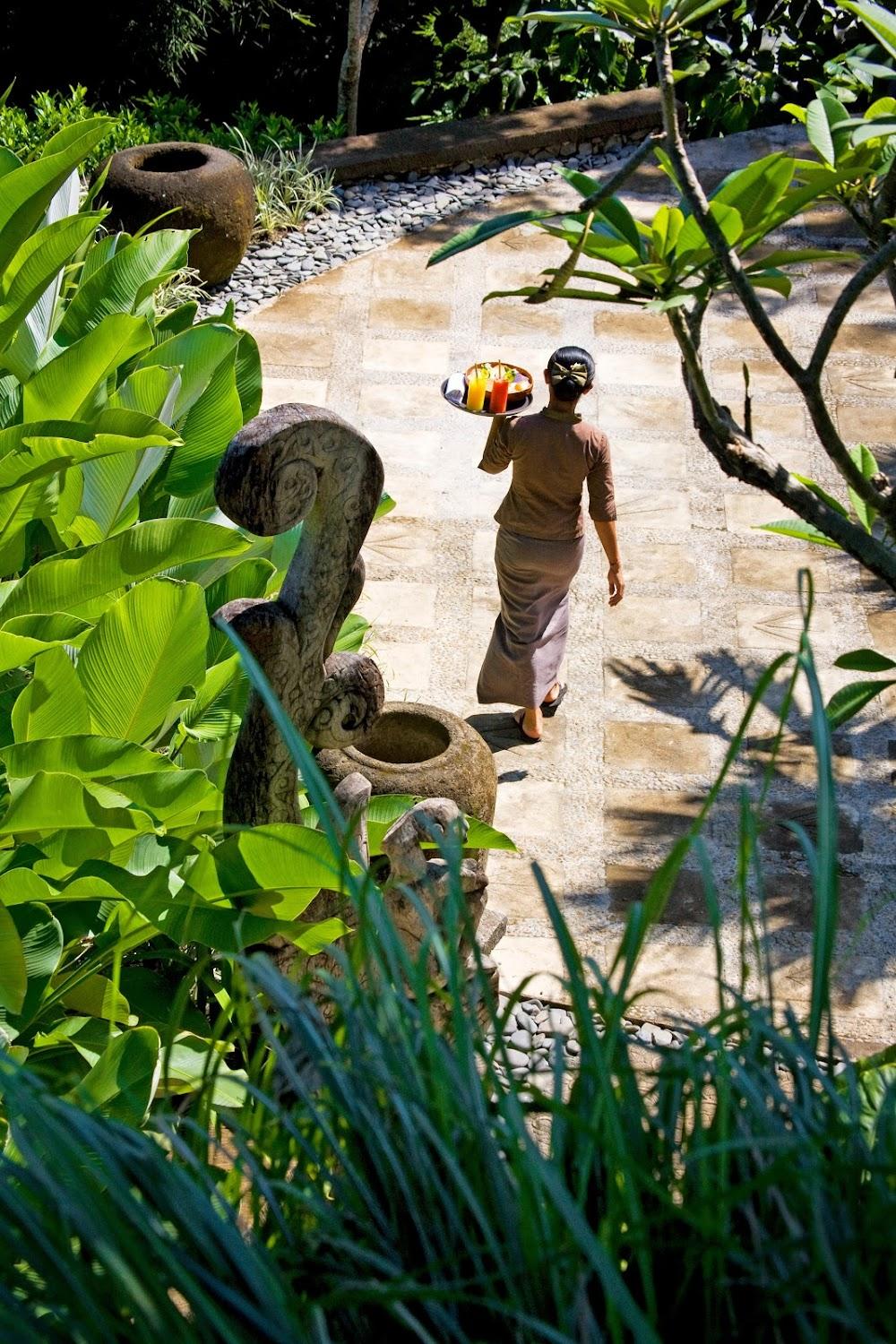 Cover Image for The Damai