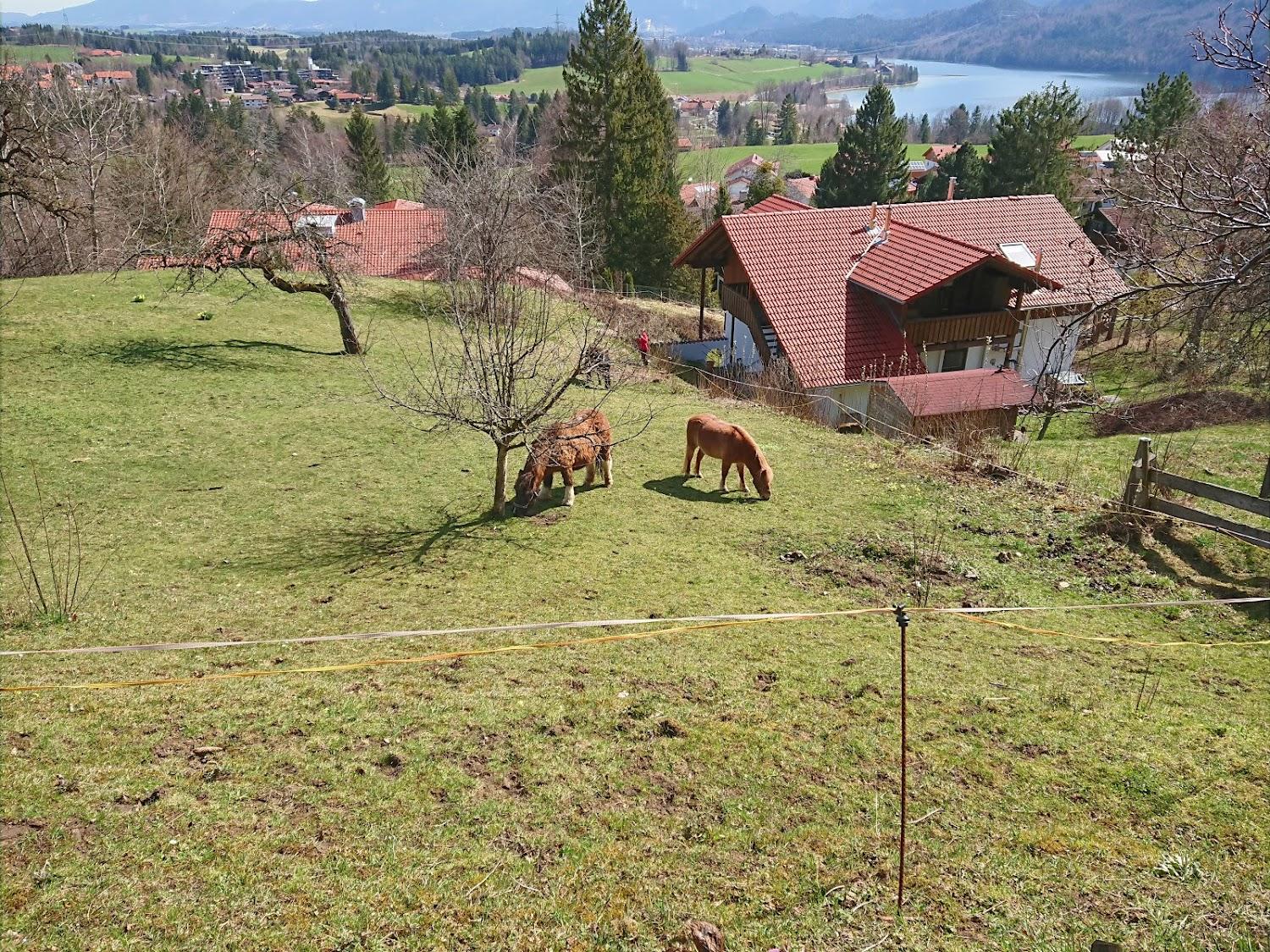 Cover Image for Ferienhof Schneider - Urlaub auf dem Bauernhof
