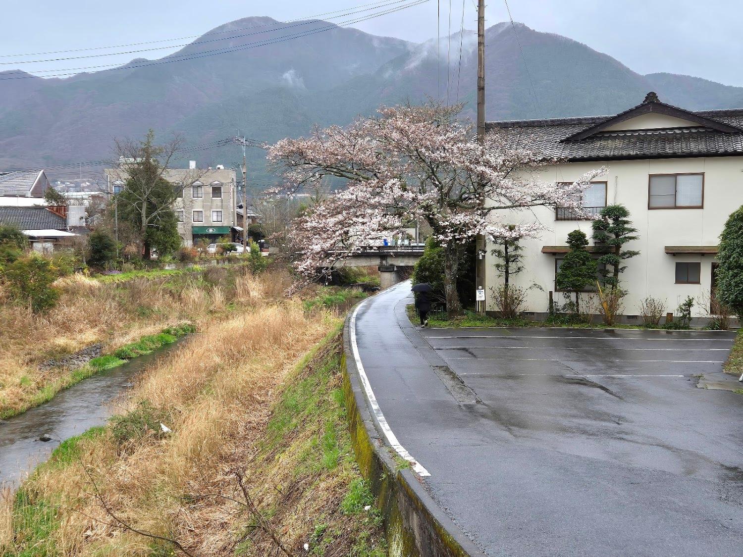 Cover Image for 由布院温泉 和風旅館 津江の庄