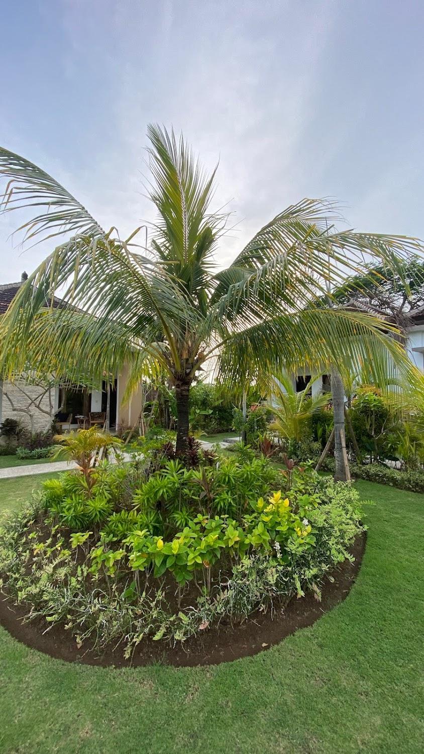 Cover Image for Uluwatu Jungle Villa