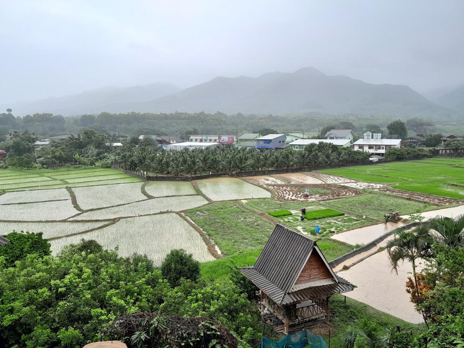 Cover Image for ทุ่งช้างคันทรีวิว