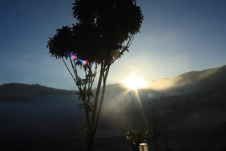 Cover Image for Trekker Lodge ที่พัก อาหาร