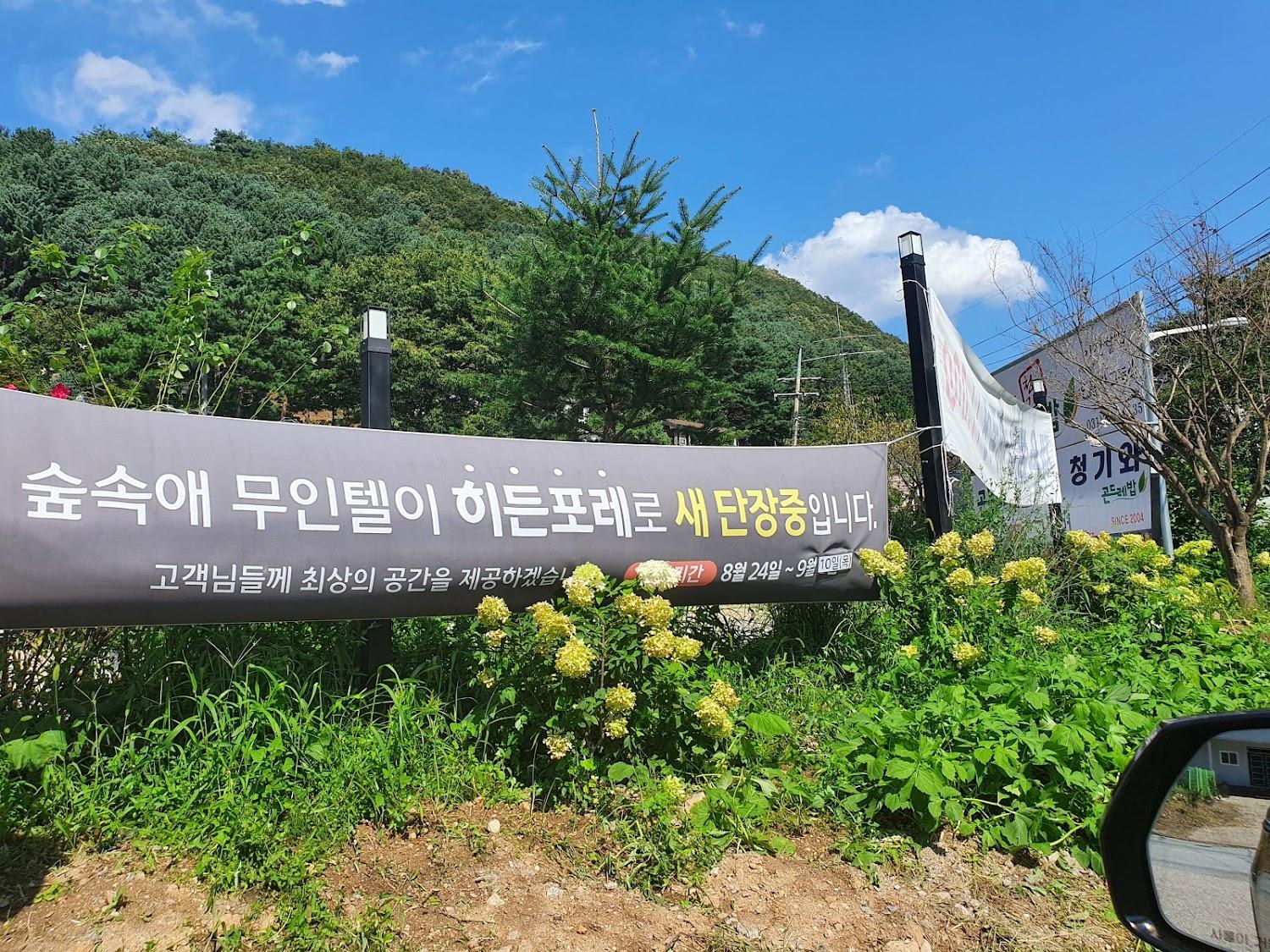 Cover Image for 숲속애무인텔