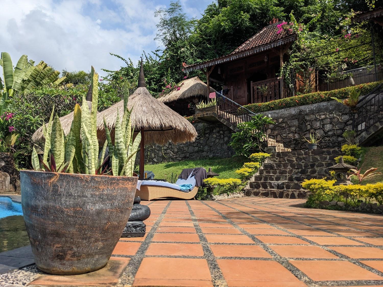 Cover Image for Sing Sing Resort Lovina