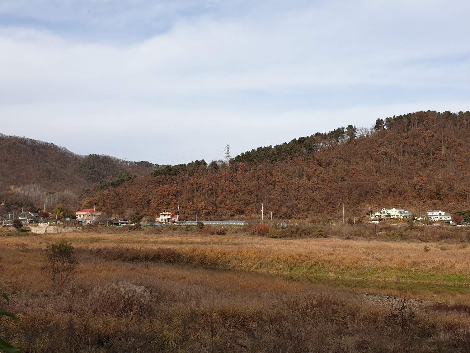 Cover Image for 어느멋진날펜션