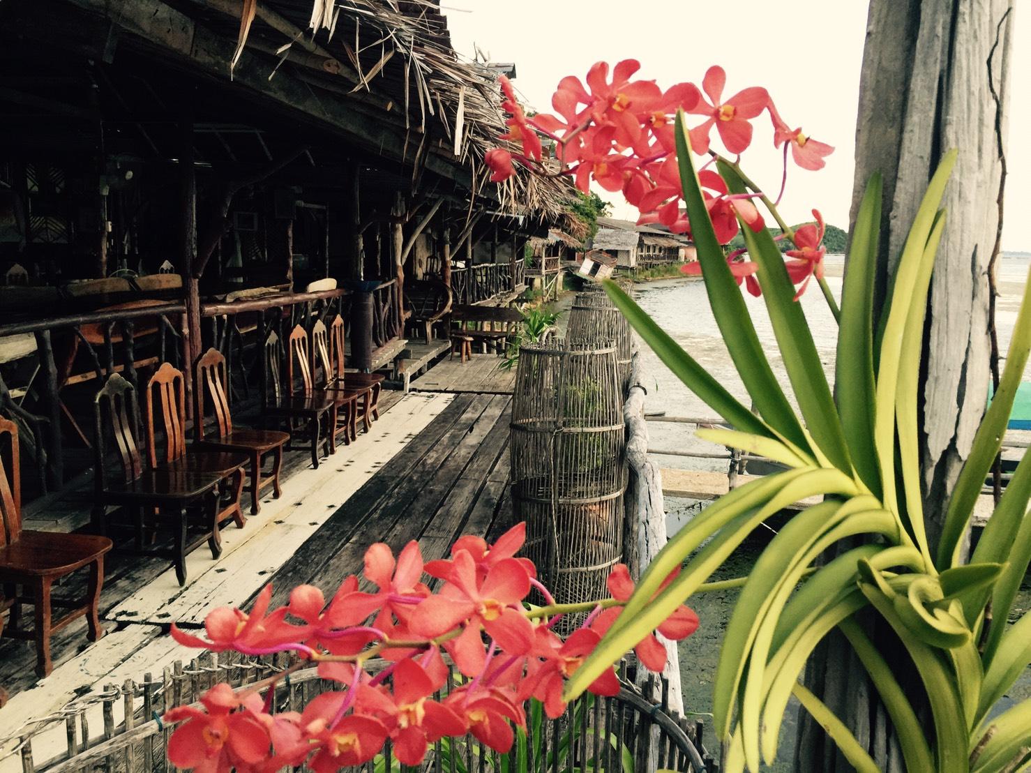 Cover Image for เขาชัน รีสอร์ต Khaochan Resort