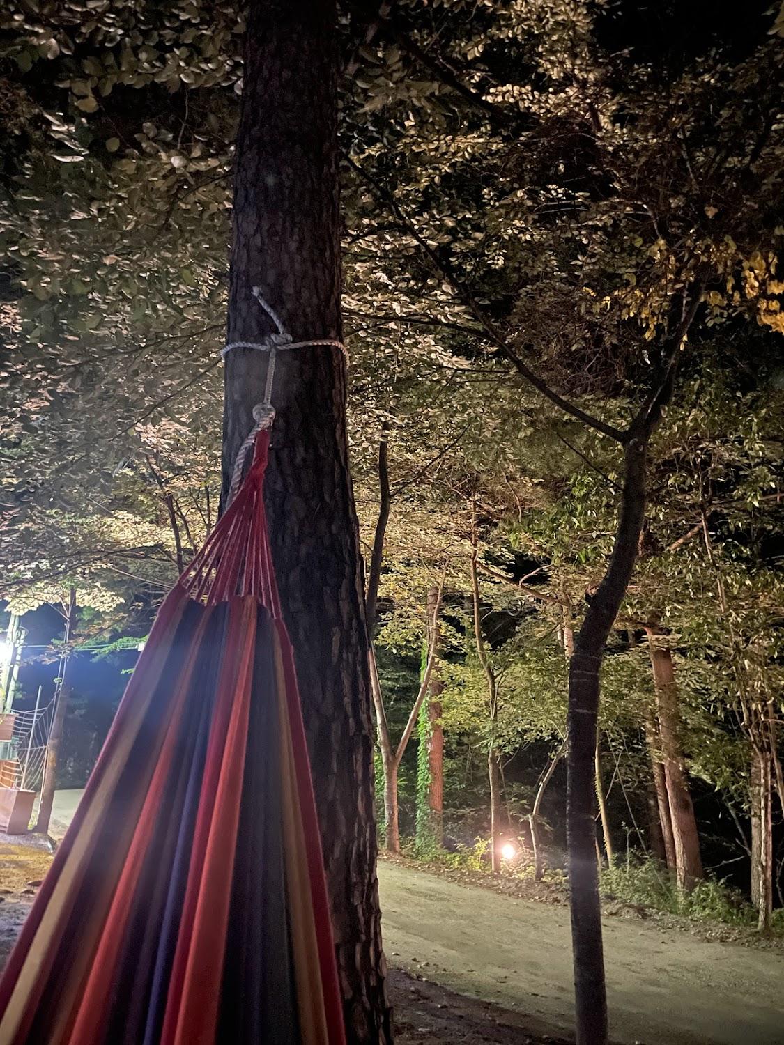 Cover Image for 숲속의집