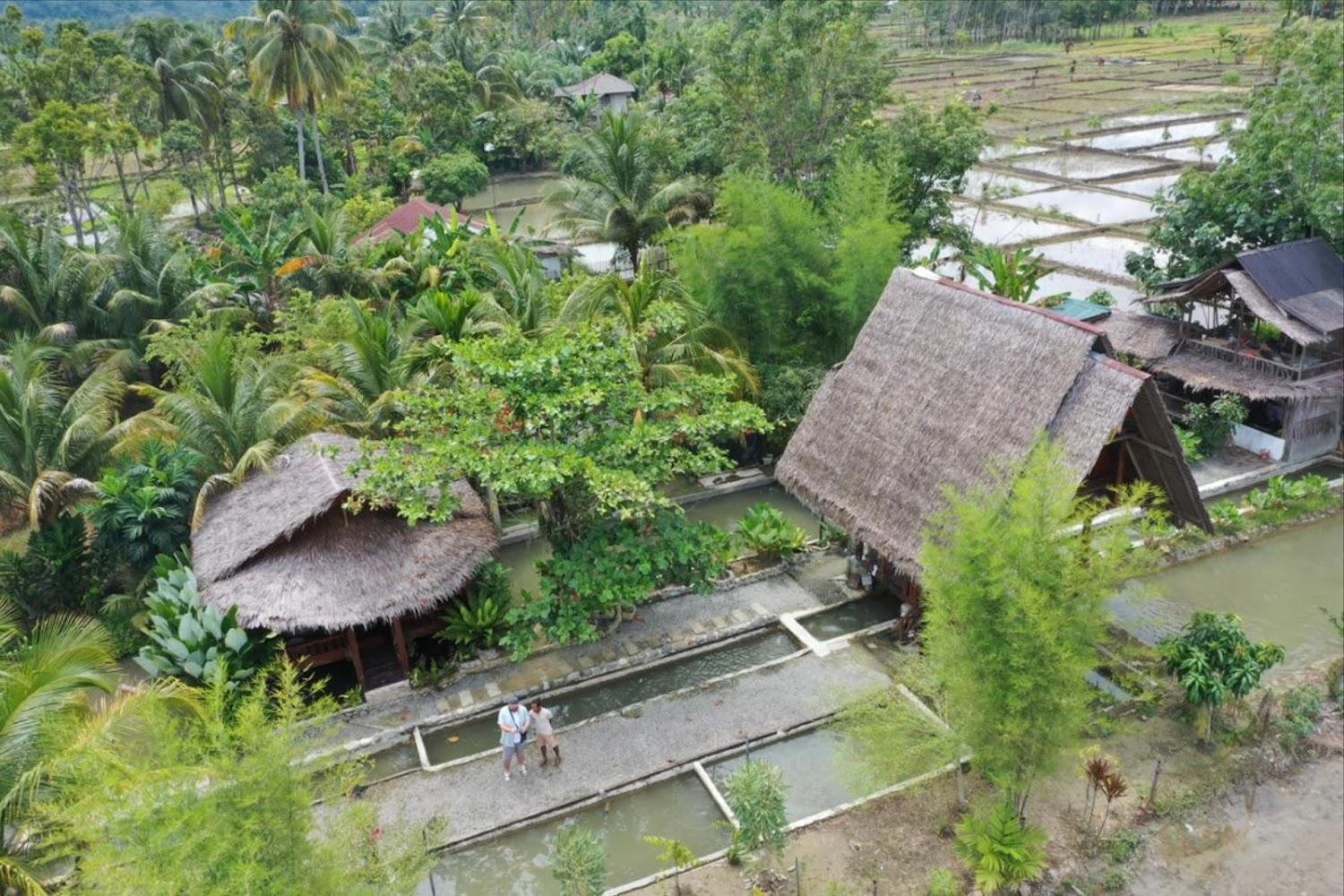 Cover Image for Tropical Jungle Lodge