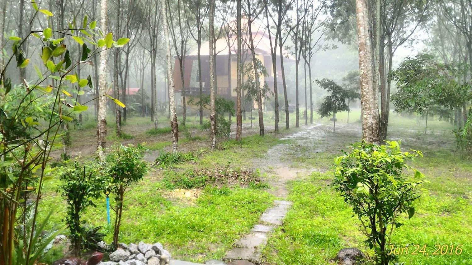 Cover Image for 1000 Chang Valley Rayong