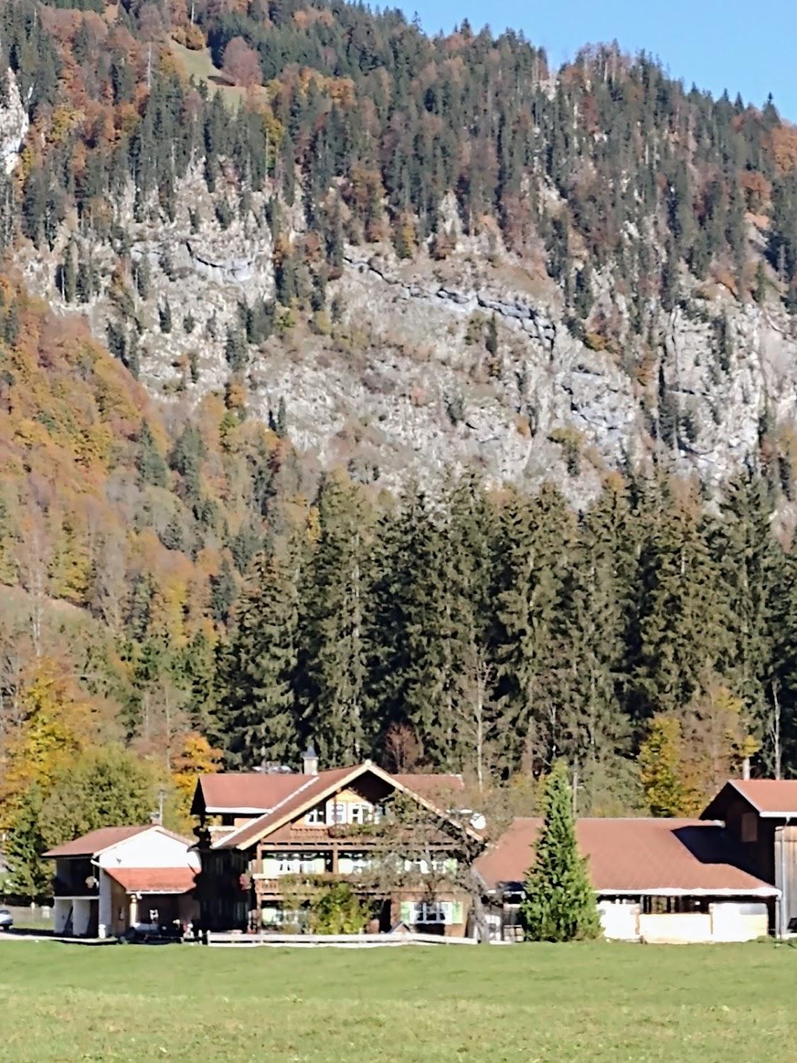 Cover Image for Voglerhaus