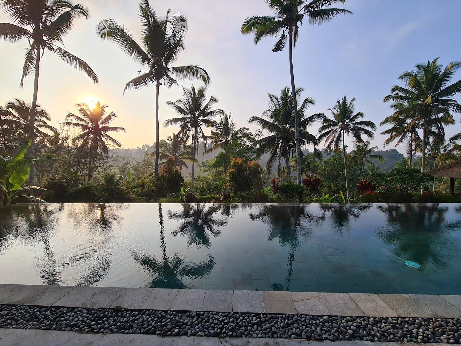 Cover Image for Villa nature
