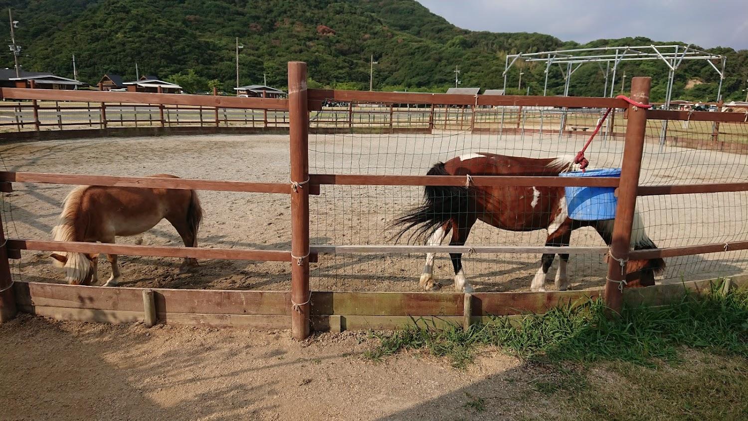 Cover Image for Awaji 's fin auto campground