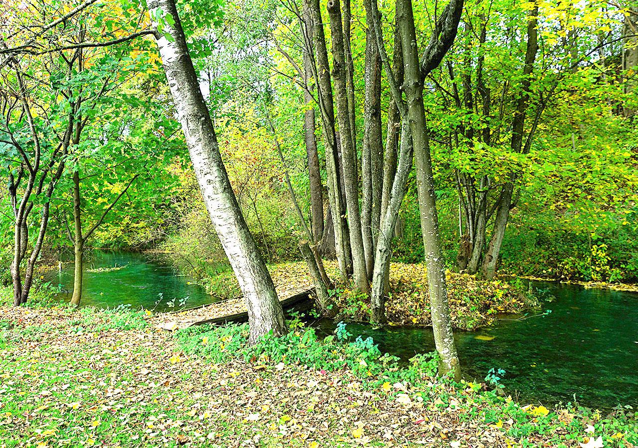 Cover Image for Villa Lageder