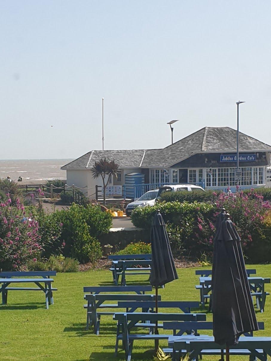 Cover Image for Foxes Hotel