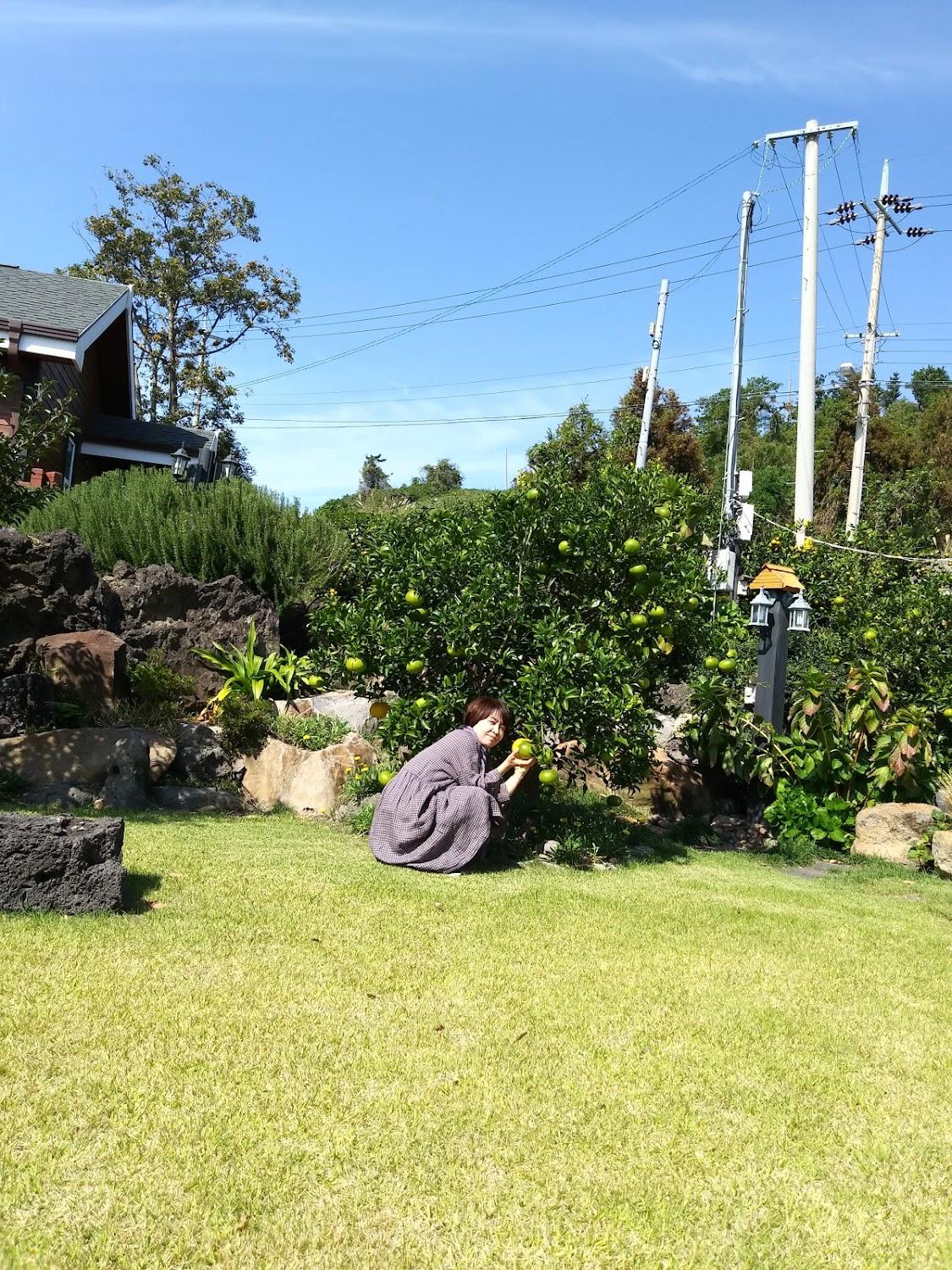 Cover Image for 뉴제주펜션