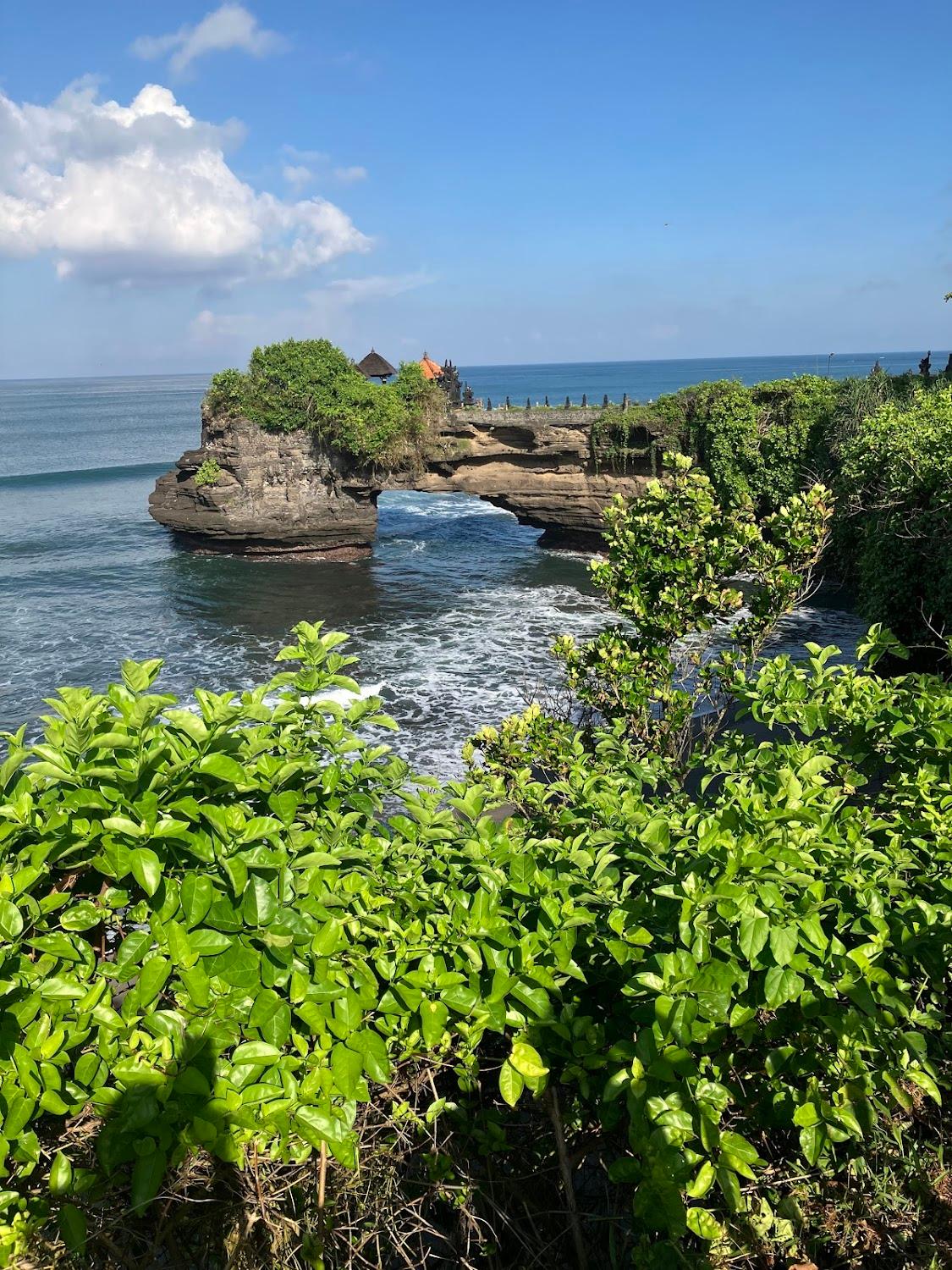 Cover Image for Kayu Bali