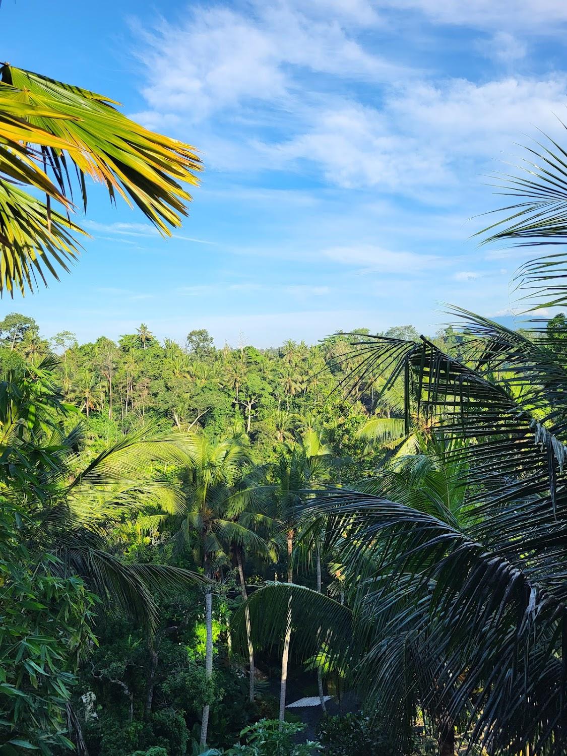 Cover Image for Adi Bisma Inn