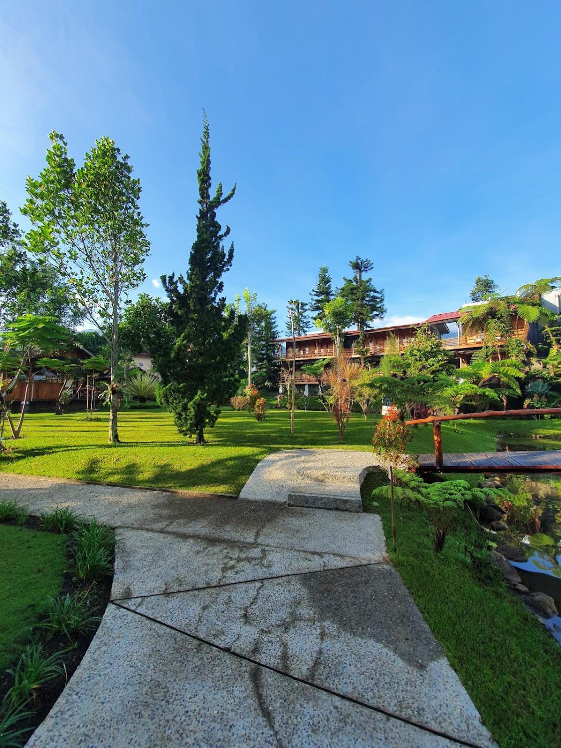 Cover Image for Spring Hill Hotel