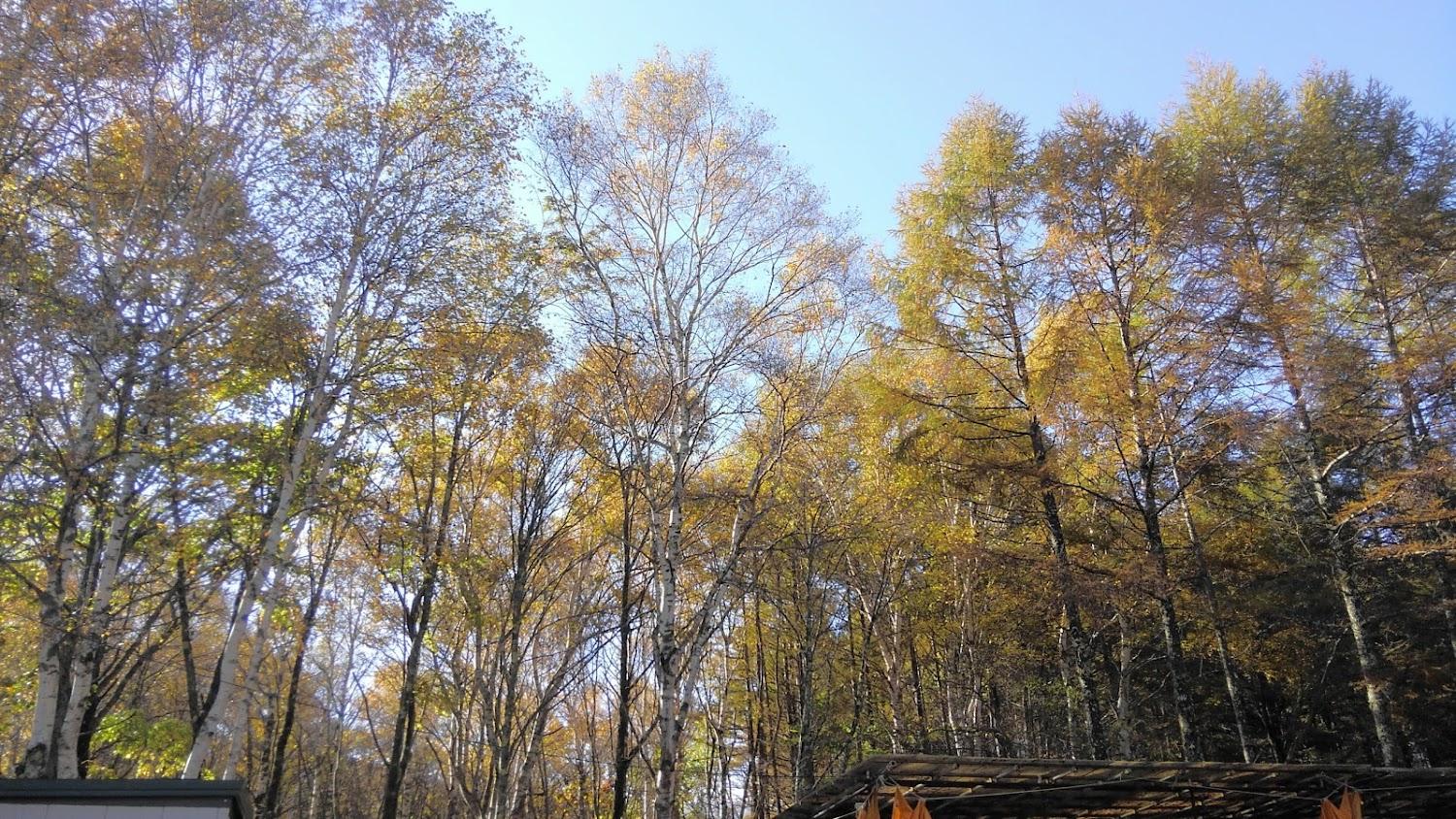 Cover Image for Tateshina Shirakaba Kogen Youth Hostel