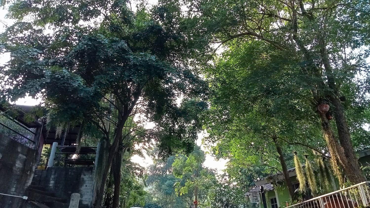 Cover Image for ระเบียงเขาบ้านพัก