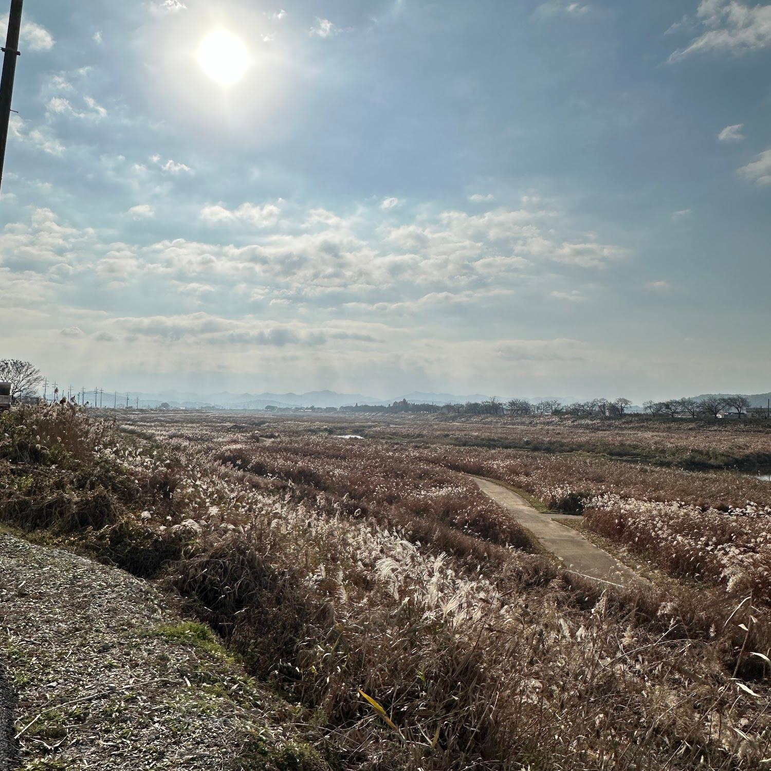 Cover Image for 논산 오여 풀빌라
