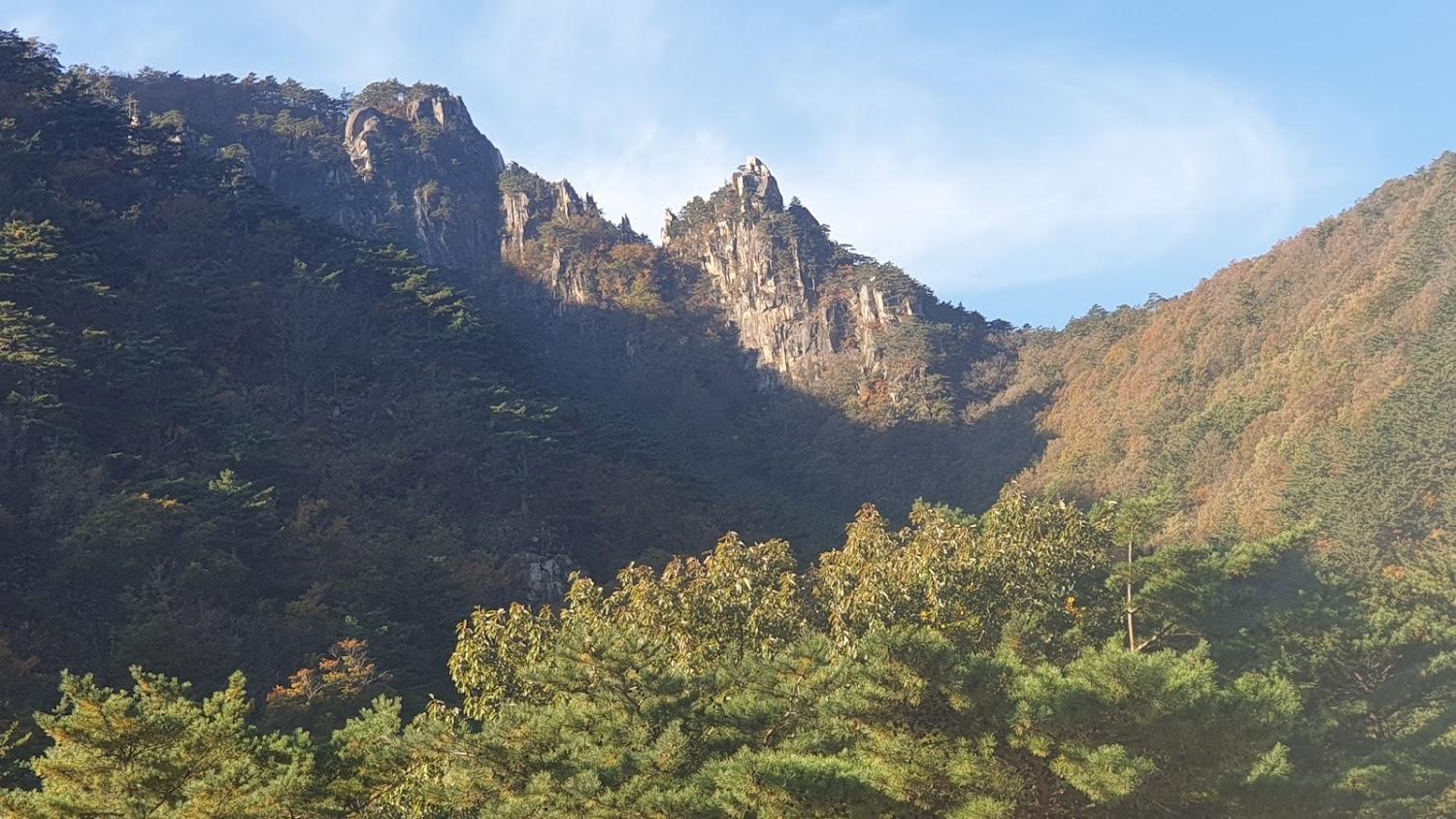Cover Image for 월산무릉아트프라자