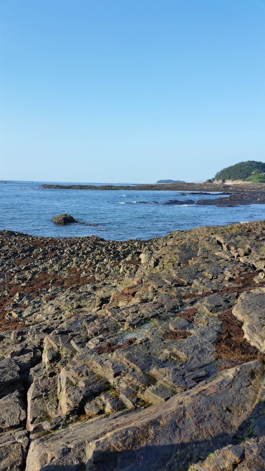 Cover Image for 화이트모텔
